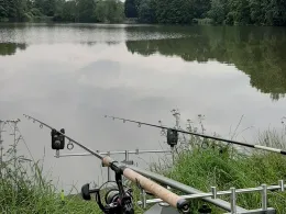 Altteich (Weigersdorf)