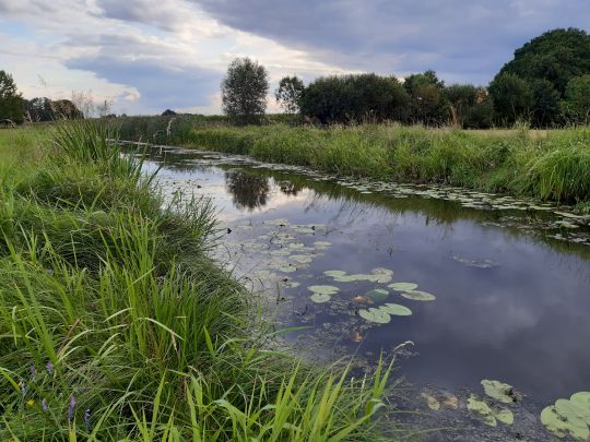 Schwarzer Graben (Mastholte)