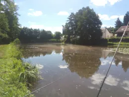 O-Weiher (Walpershofen)