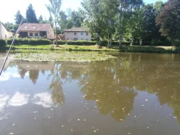 O-Weiher (Walpershofen)-1