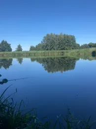 Bomsdorfer Teich-3
