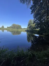 Bomsdorfer Teich-4