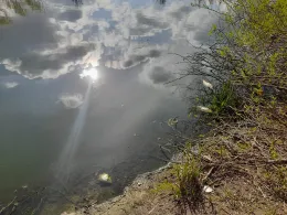 Alter Löschwasserteich (Strausberg)-4