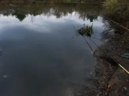 Alter Löschwasserteich (Strausberg)-3