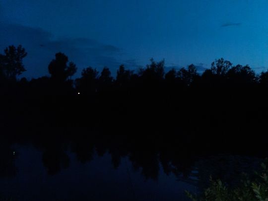 Alter Löschwasserteich (Strausberg) angeln