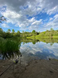 Alter Löschwasserteich (Strausberg)