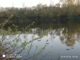 Alter Löschwasserteich (Strausberg)-2