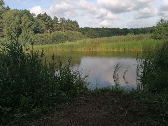 Langes Fenn (Göhlsdorf)-4