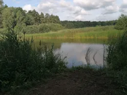 Langes Fenn (Göhlsdorf)-4