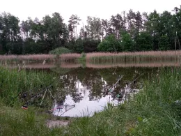 Langes Fenn (Göhlsdorf)-3