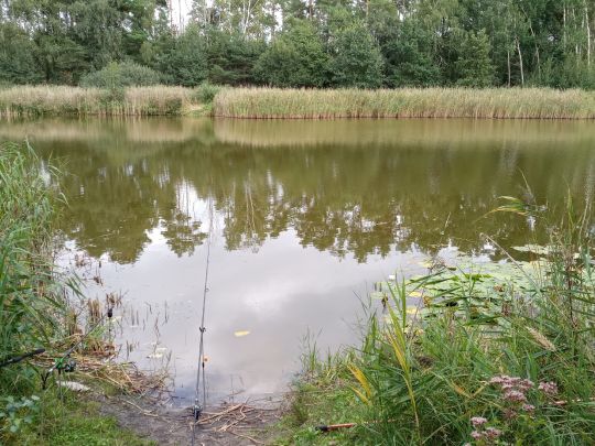 Langes Fenn (Göhlsdorf)-1