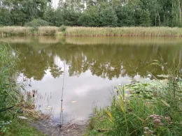 Langes Fenn (Göhlsdorf)-1