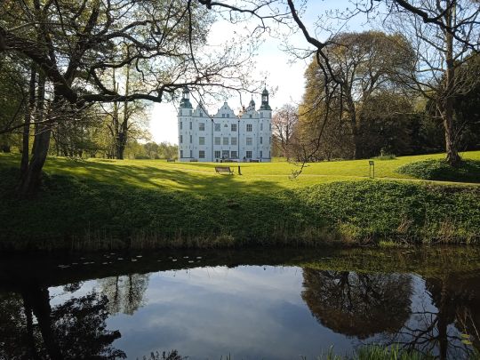 Teich Vierbergen (Ahrensburg)-1