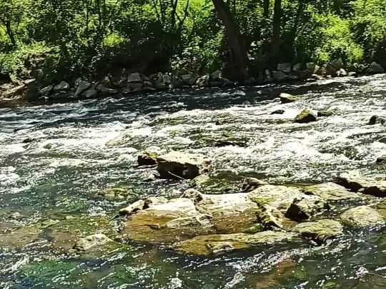 Wertach (Ettringen)-3