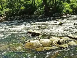 Wertach (Ettringen)-3