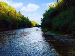 Wertach (Ettringen)-4