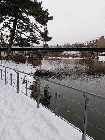 Lausitzer Neiße (Görlitz)