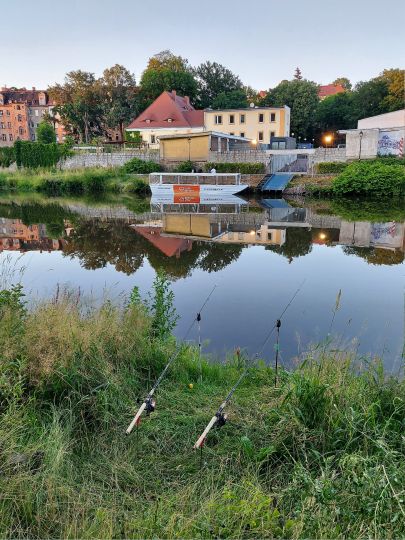 Lausitzer Neiße (Görlitz)-2