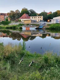 Lausitzer Neiße (Görlitz)-2