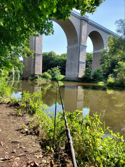 Lausitzer Neiße (Görlitz)-3