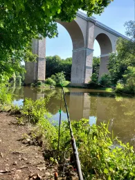 Lausitzer Neiße (Görlitz)-3