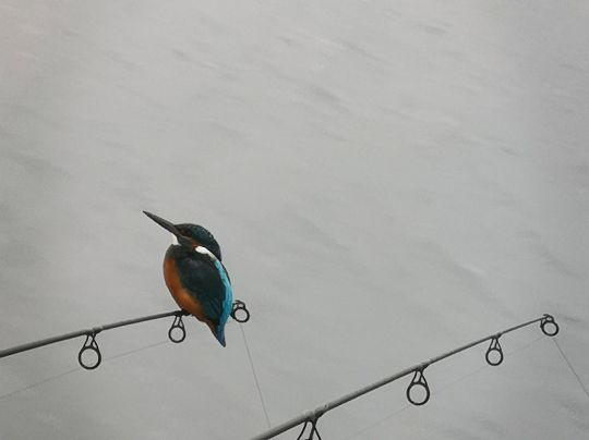 Das Neue Land (Gröningen)-2