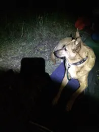 Hohenzollernkanal (Berlin-Plötzensee)-2