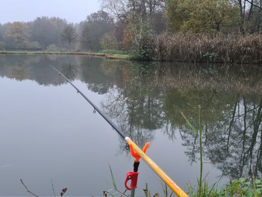 Teichanlage Langelohe-1