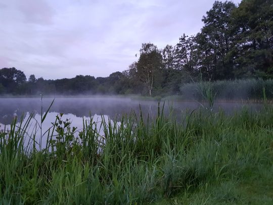Teichanlage Langelohe angeln
