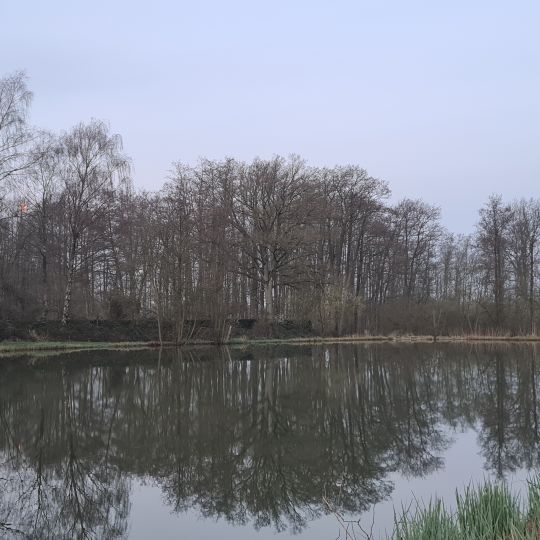 Teichanlage Langelohe-2