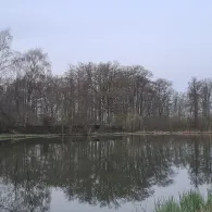 Teichanlage Langelohe-2