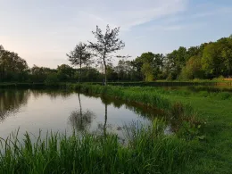 Teichanlage Langelohe