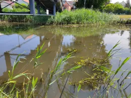 Templer Bach (Damgarten)-1