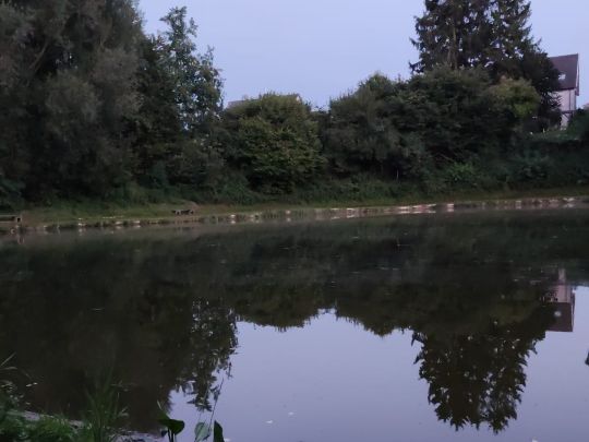 Vereinssee ASV Eschweiler