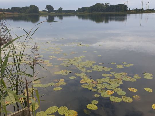 Trechower See (Kurzen Trechow)