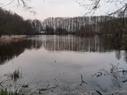 Grambiner Torfstiche