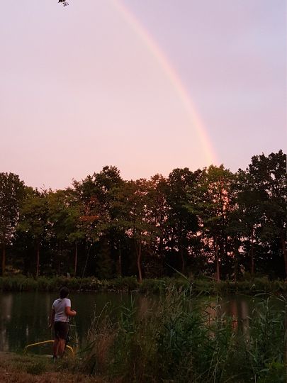 Mittellandkanal (Getmold) angeln