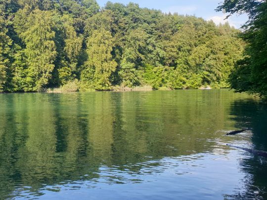 Reuss (Bremgarten)-1