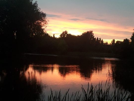 Lorenzteich (Lugau/Erzgeb.)-4