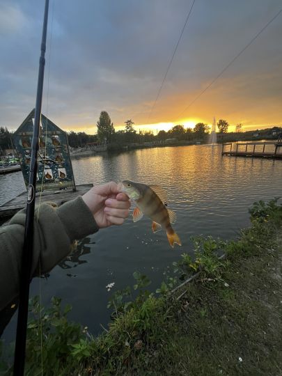 Center Parcs de Huttenheugte-3