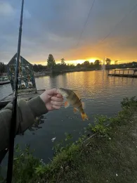 Center Parcs de Huttenheugte-3