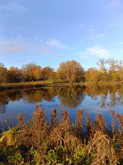 Gieselteich (Bad Segeberg)