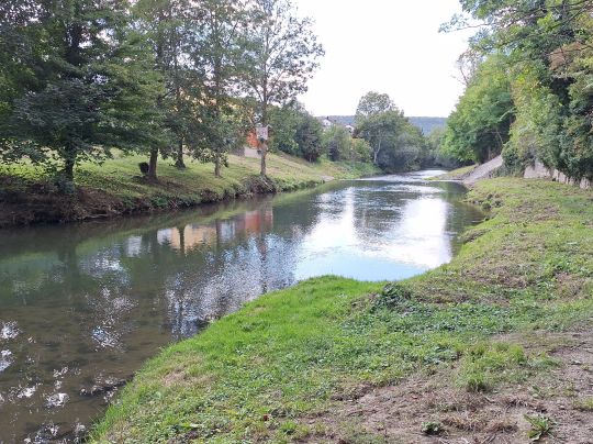 Tauber (Bad Mergentheim)-3