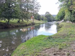 Tauber (Bad Mergentheim)-3