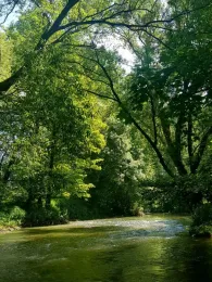 Tauber (Bad Mergentheim)-2