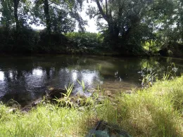 Tauber (Bad Mergentheim)-4