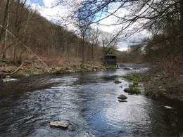 Chemnitz (Lunzenau)-1