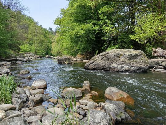 Chemnitz (Lunzenau)-4