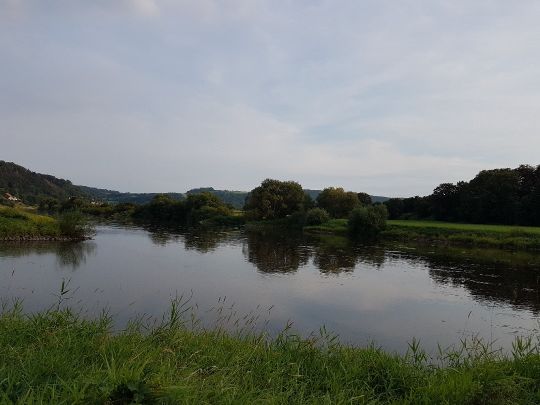 Weser (Bodenwerder-Heinsen) angeln