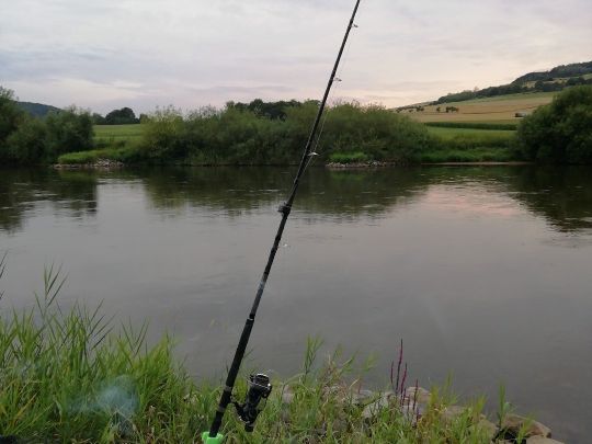 Weser (Bodenwerder-Heinsen)-1